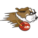 University of St. Francis - Illinois logo