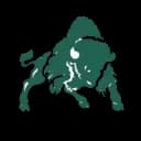 Bethany College - Kansas logo