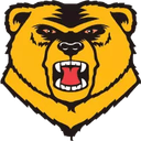 Western New England University logo
