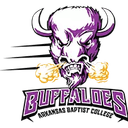 Arkansas Baptist College logo
